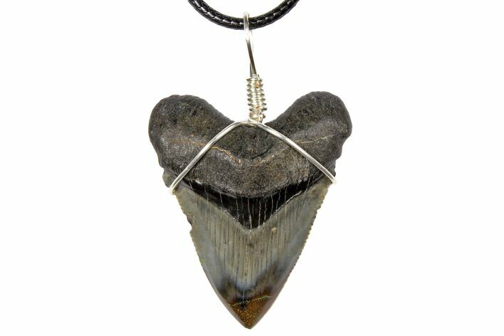 Fossil Megalodon Tooth Necklace - Serrated Blade #130937
